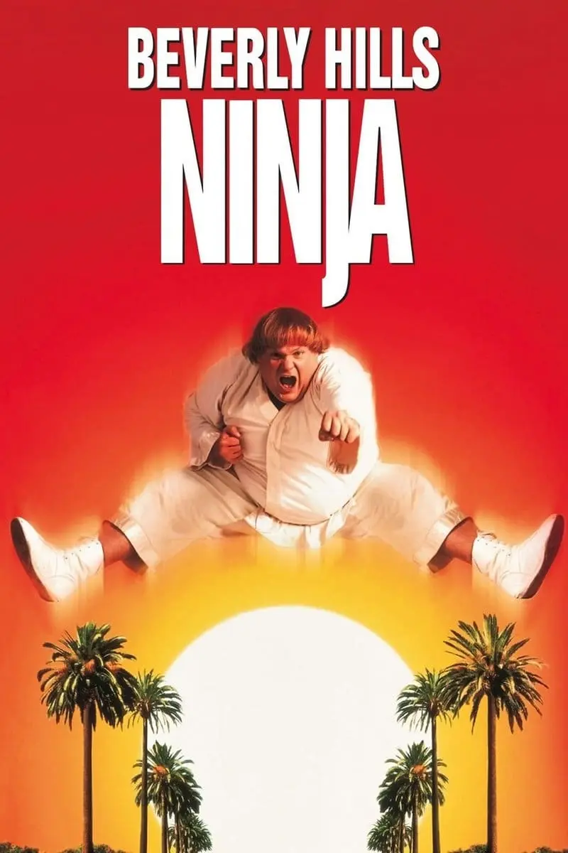 Beverly Hills Ninja_peliplat