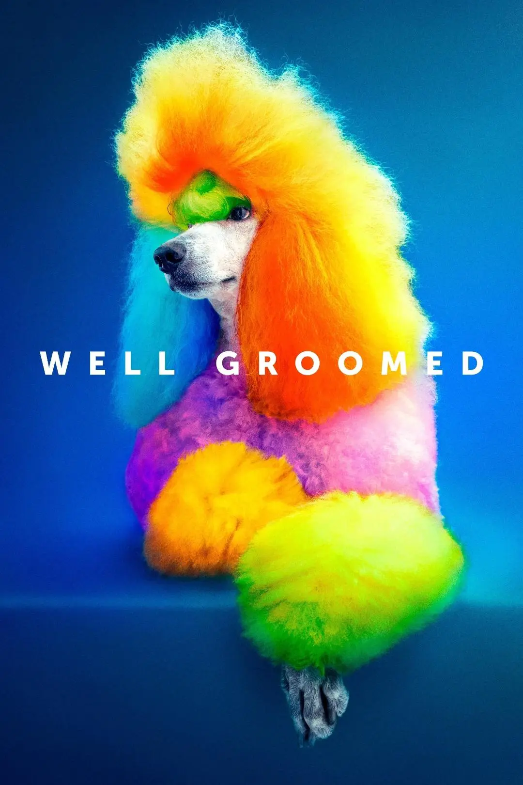 Well Groomed_peliplat