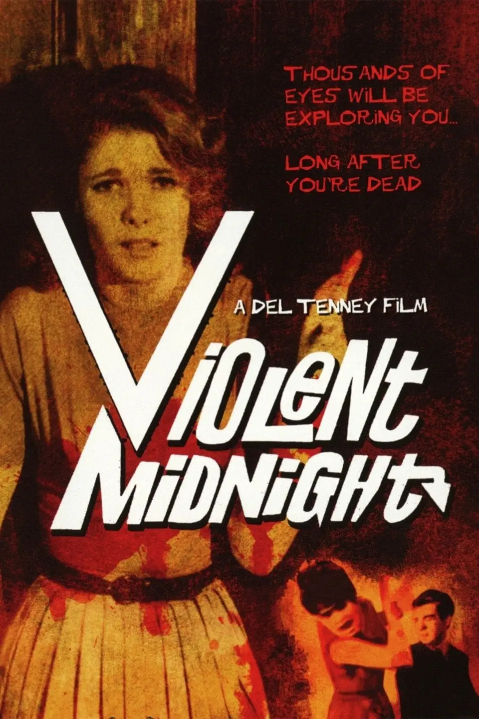 Violent Midnight_peliplat