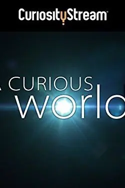 A Curious World_peliplat