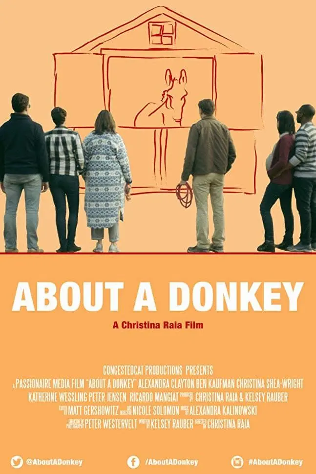 About a Donkey_peliplat