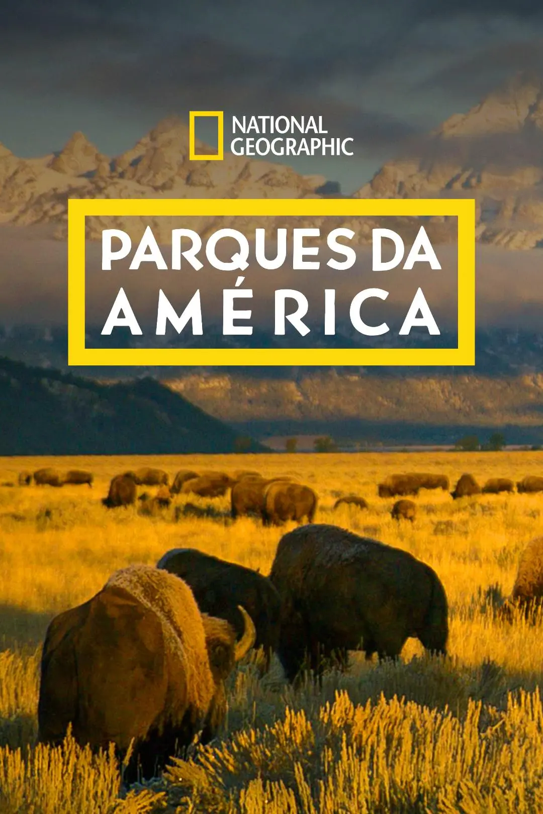 Parques da América_peliplat