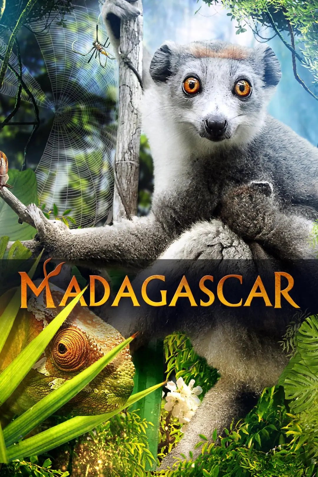 Madagascar 3D_peliplat