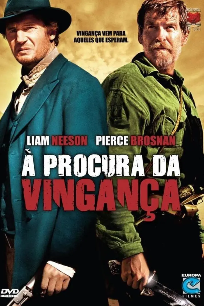 À Procura da Vingança_peliplat