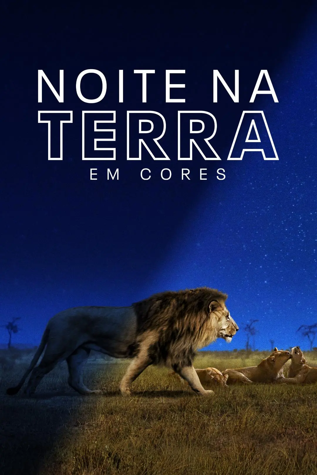 Noite na terra em cores_peliplat