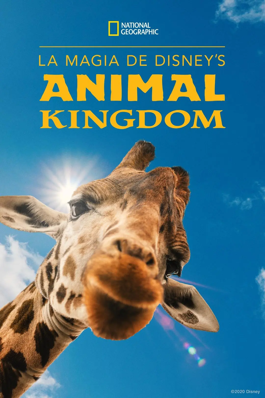 La magia de Animal Kingdom de Disney_peliplat