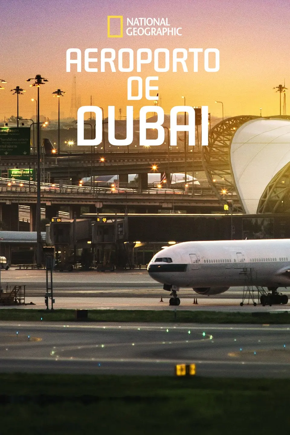 Aeroporto de Dubai_peliplat