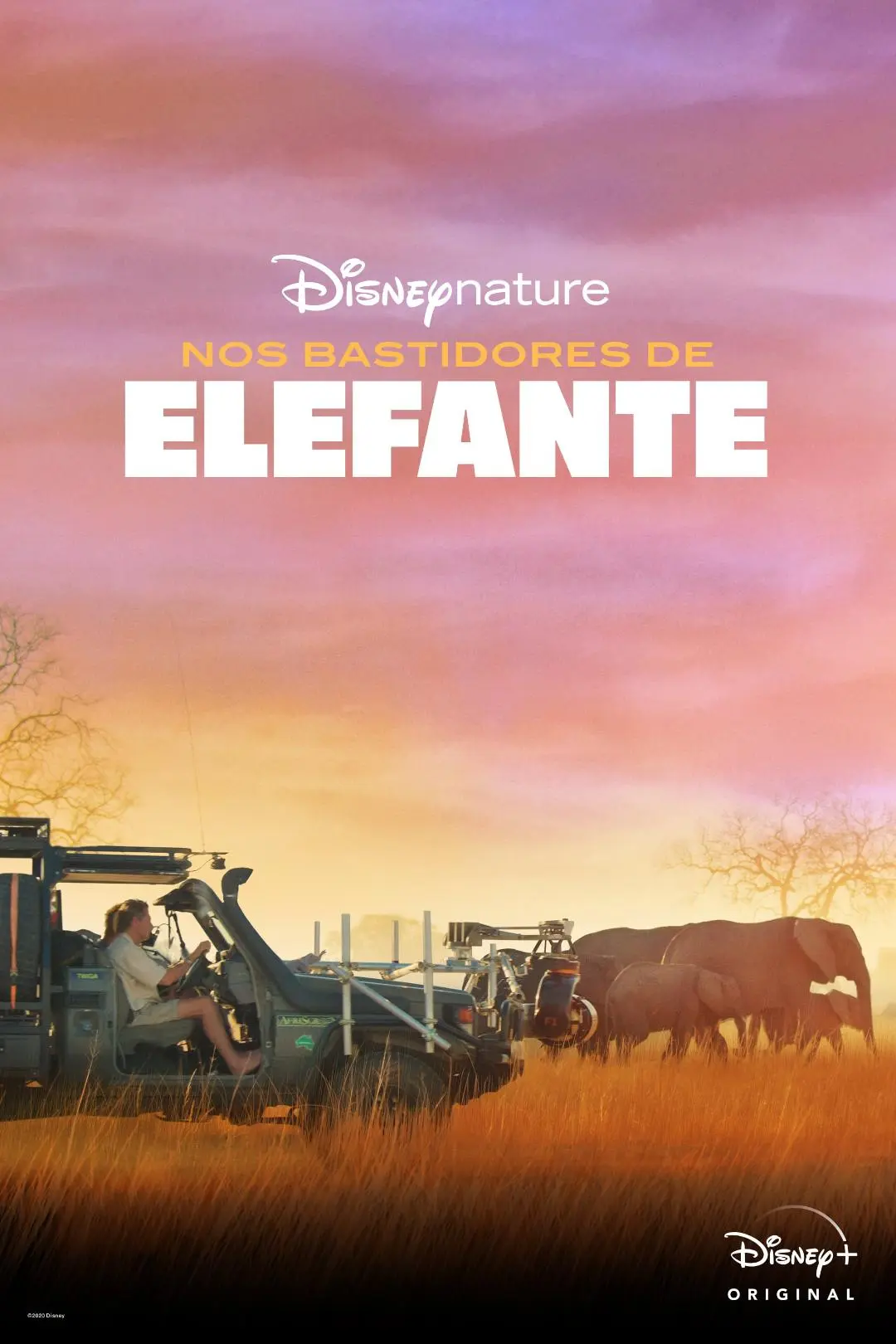 Nos Bastidores de Elefante_peliplat