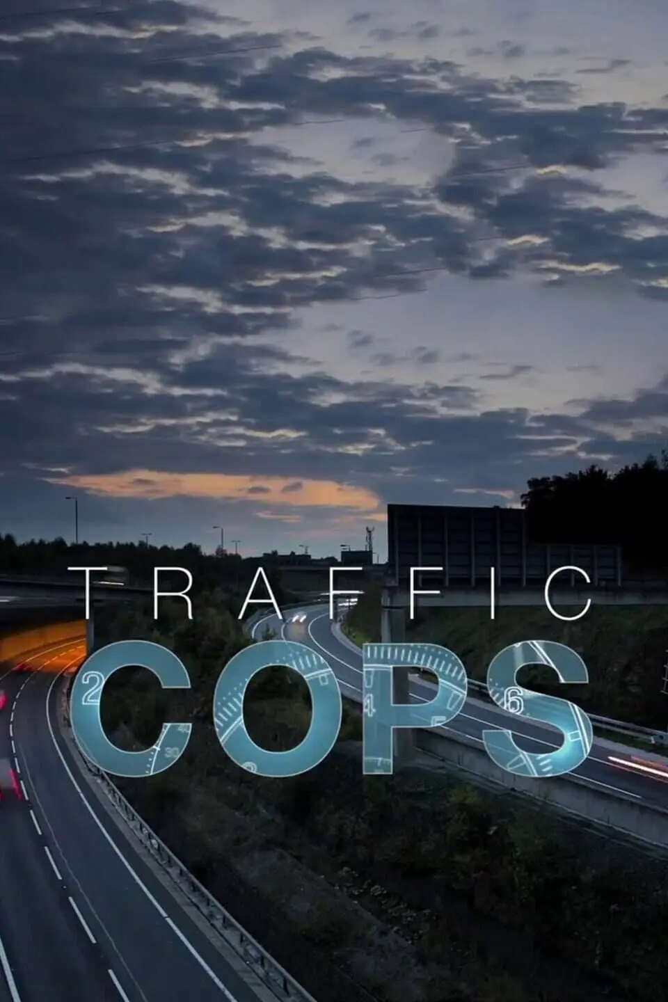 Traffic Cops_peliplat
