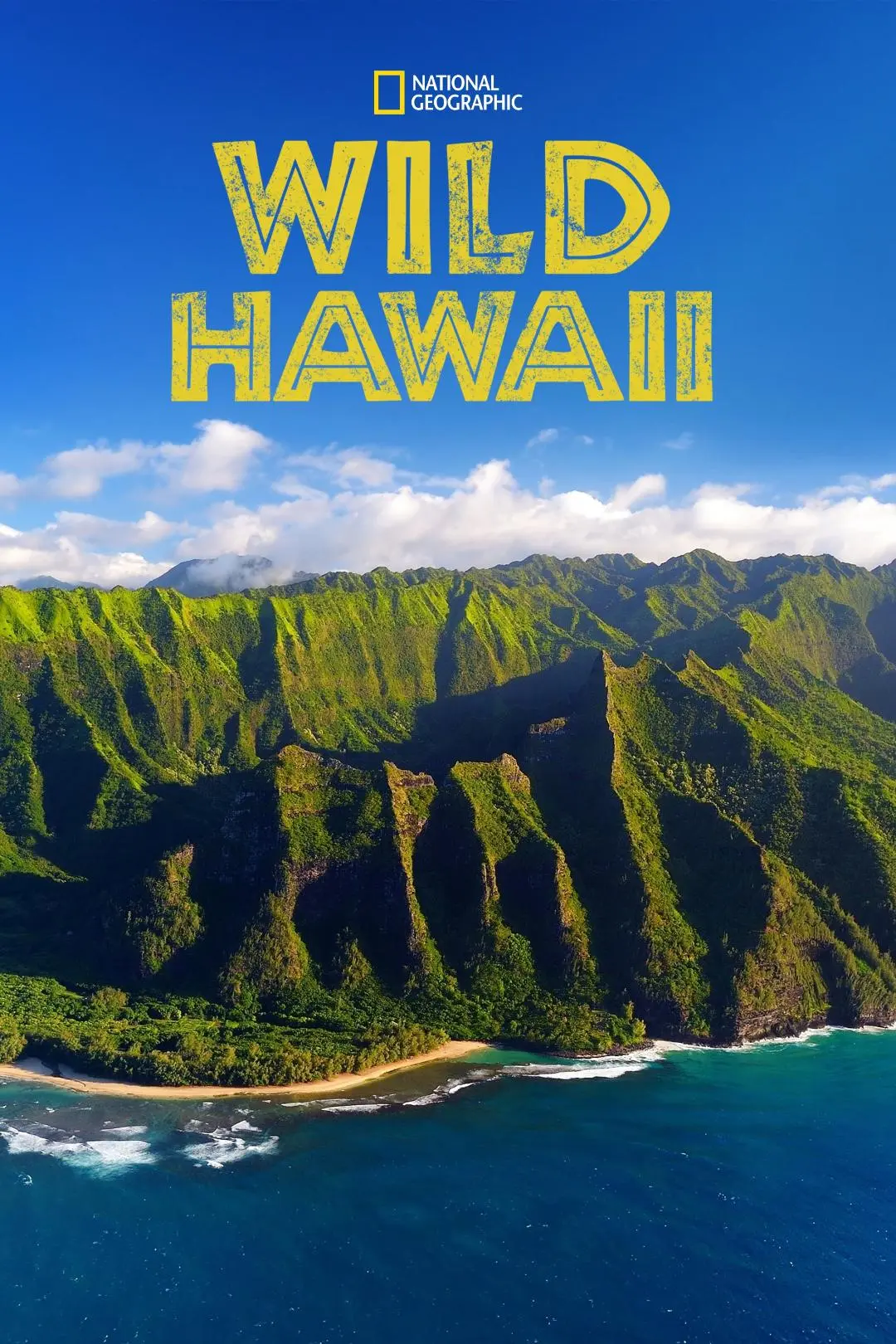 Hawai salvaje_peliplat