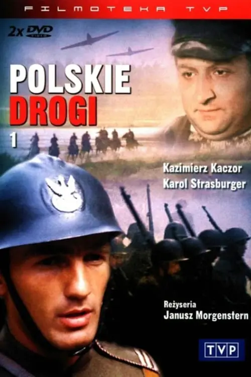 Polskie drogi_peliplat