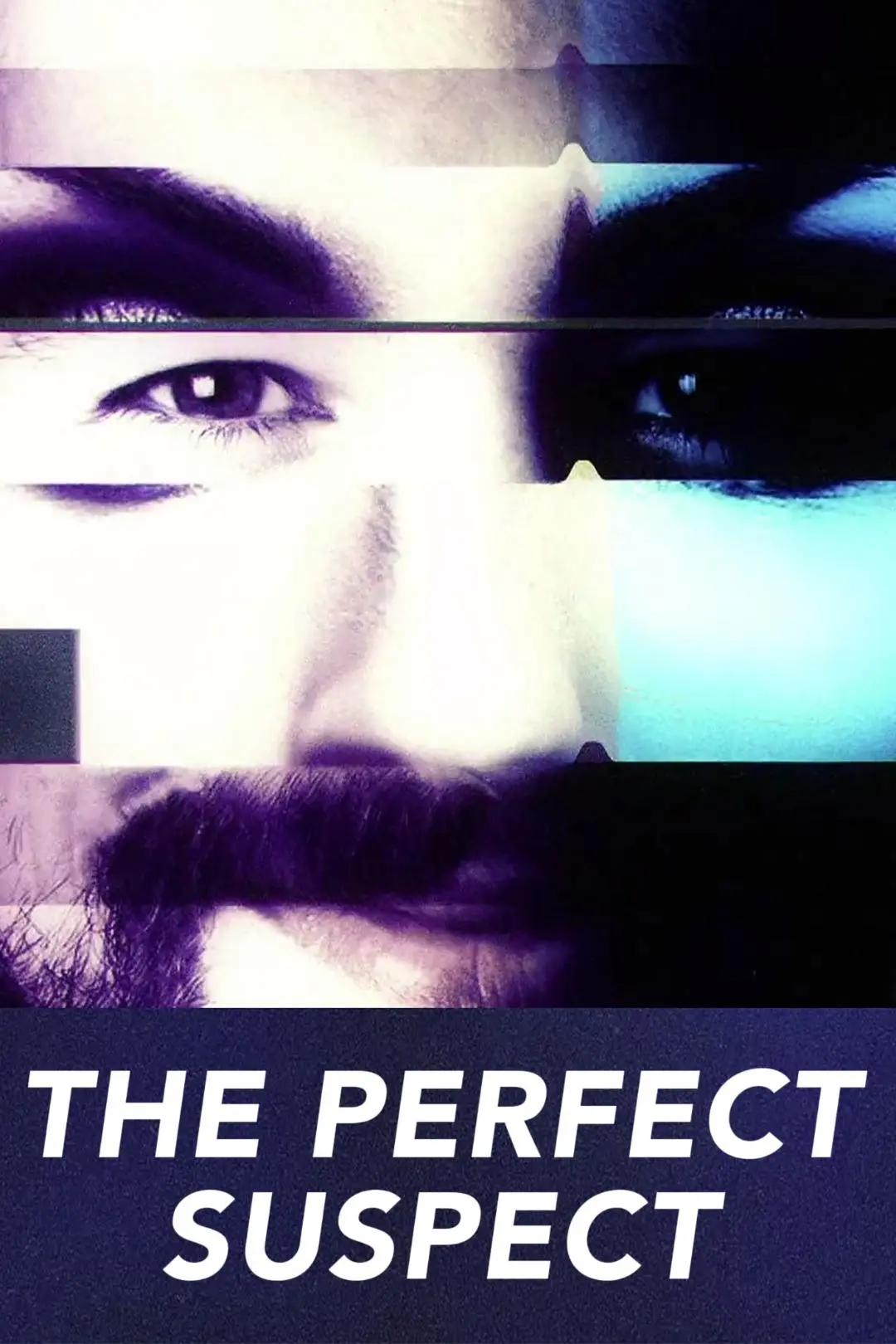 The Perfect Suspect_peliplat