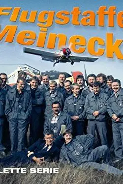 Flugstaffel Meinecke_peliplat