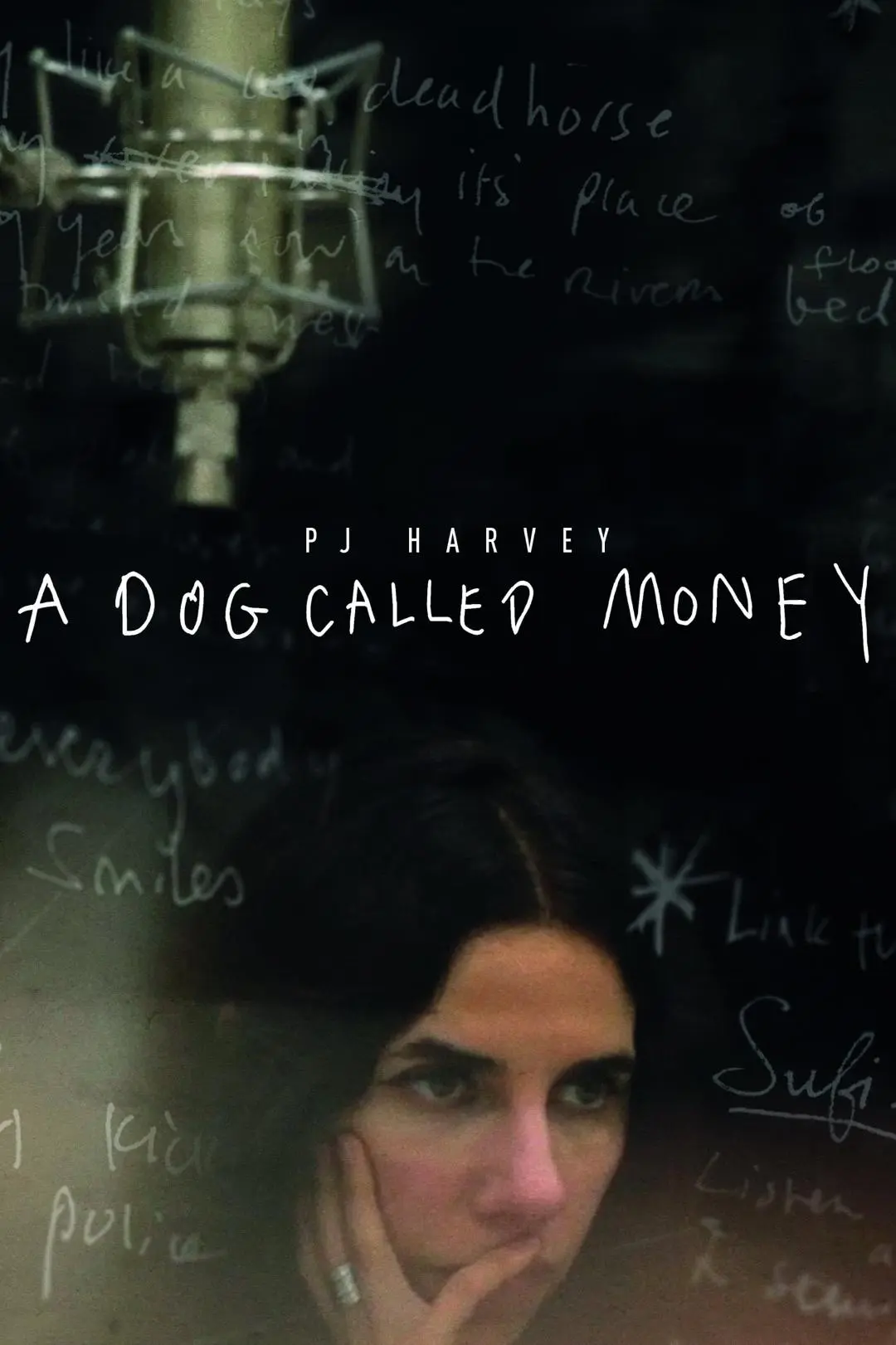 PJ Harvey: A Dog Called Money_peliplat