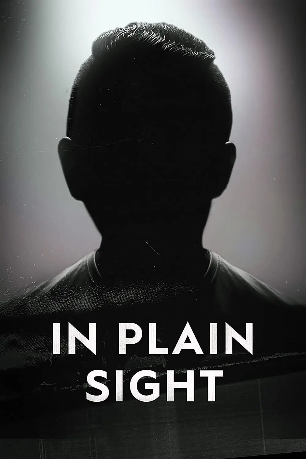 In Plain Sight_peliplat