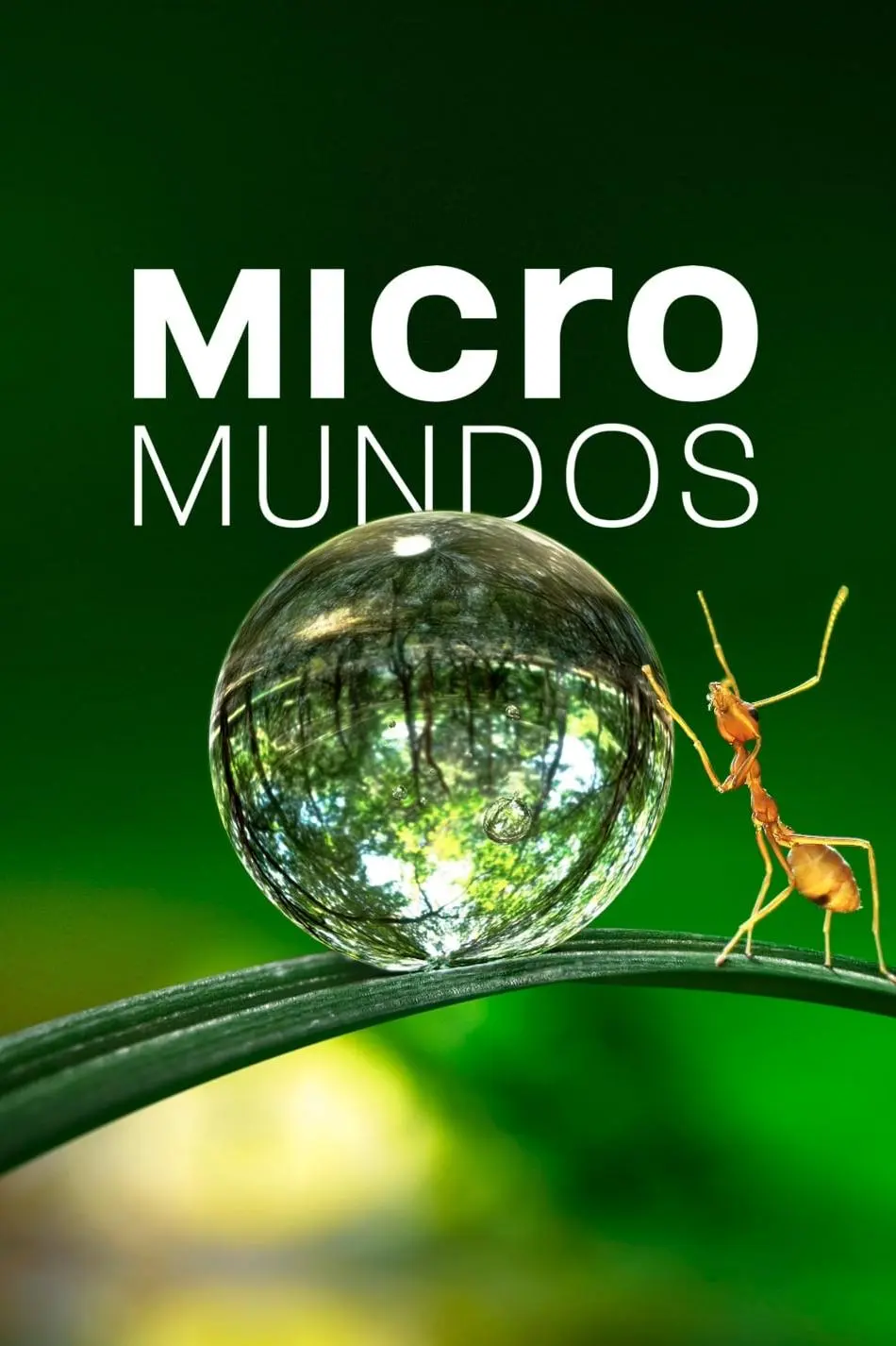 Micromundos_peliplat