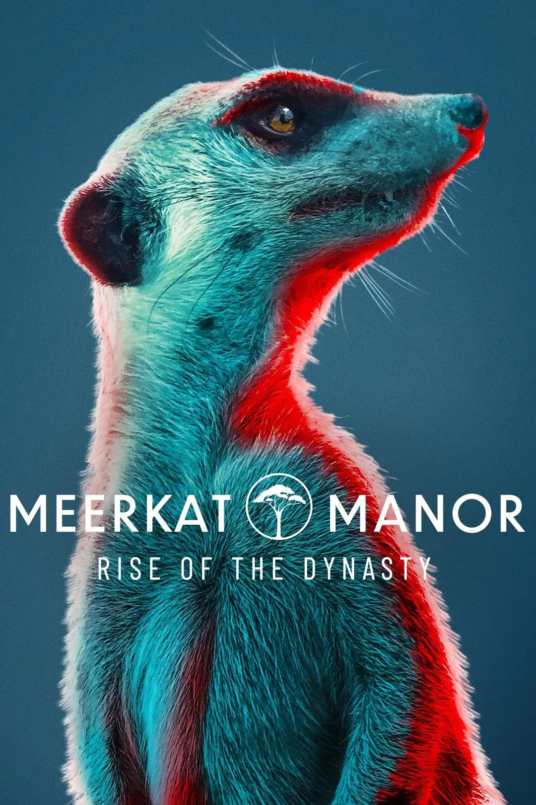 Meerkat Manor: Rise of the Dynasty_peliplat