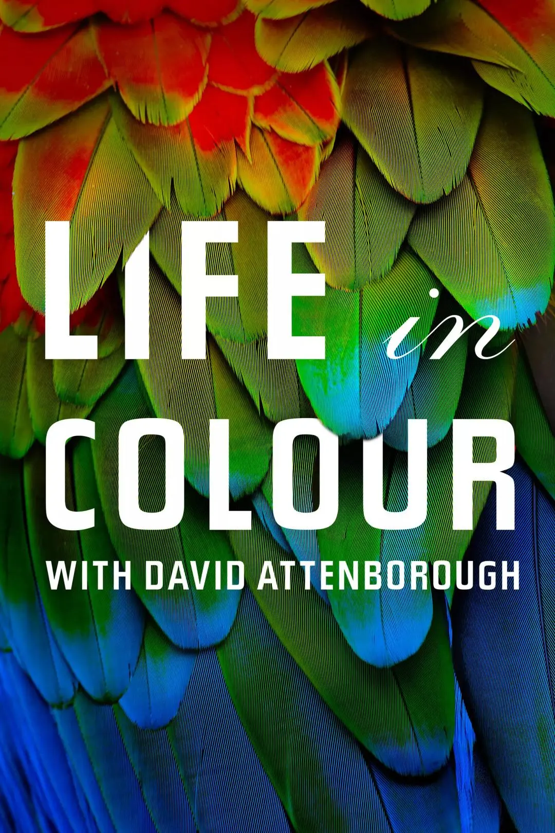 La vida a color con David Attenborough_peliplat