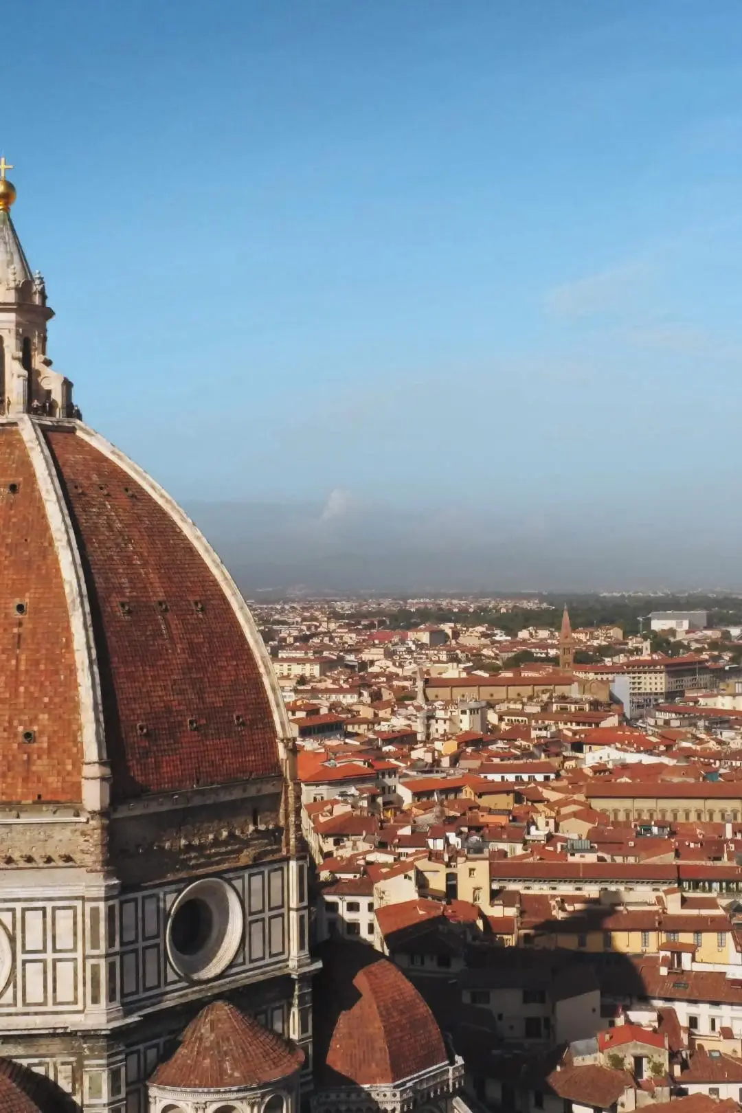 Brunelleschi e le grandi cupole del mondo_peliplat