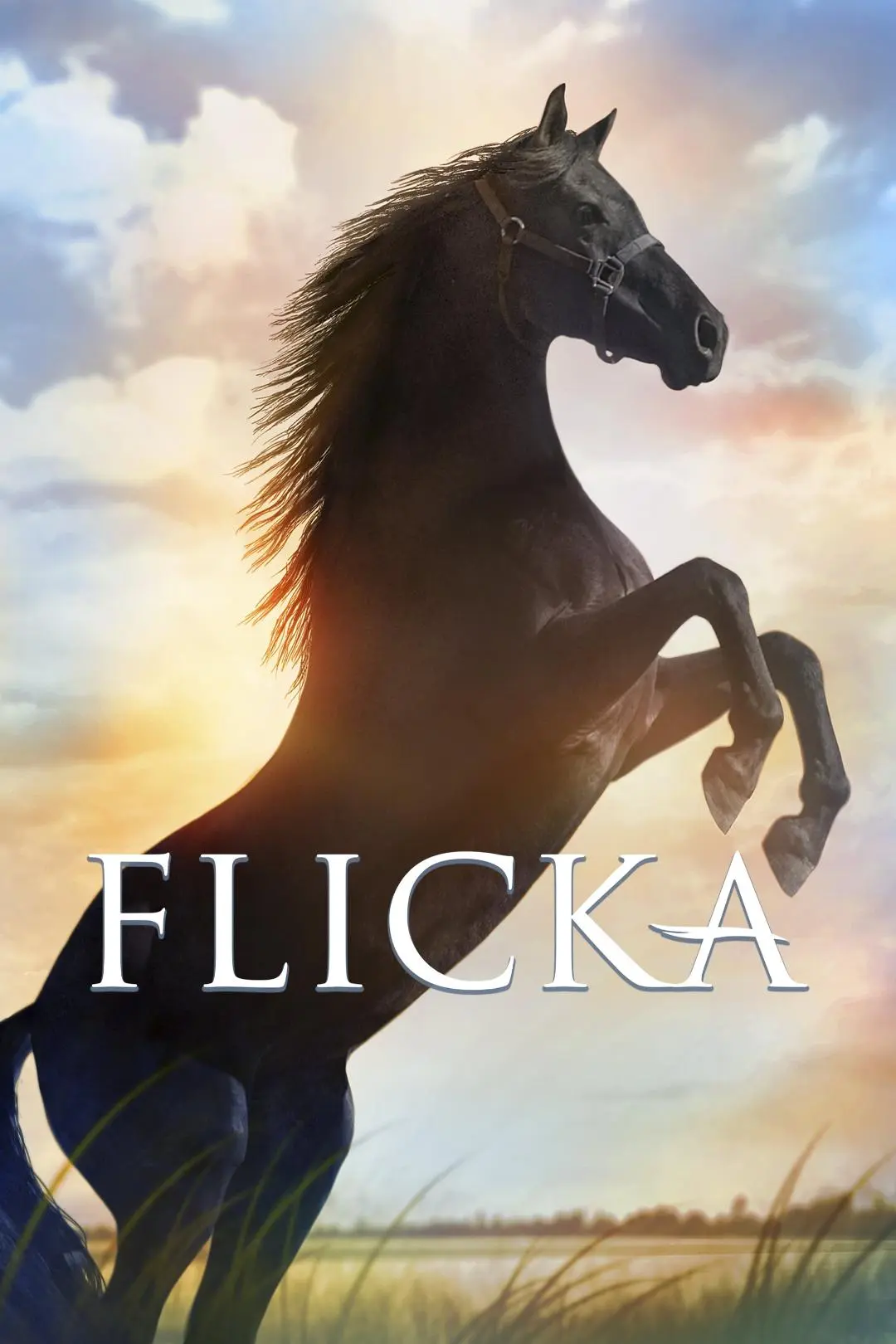 Flicka_peliplat