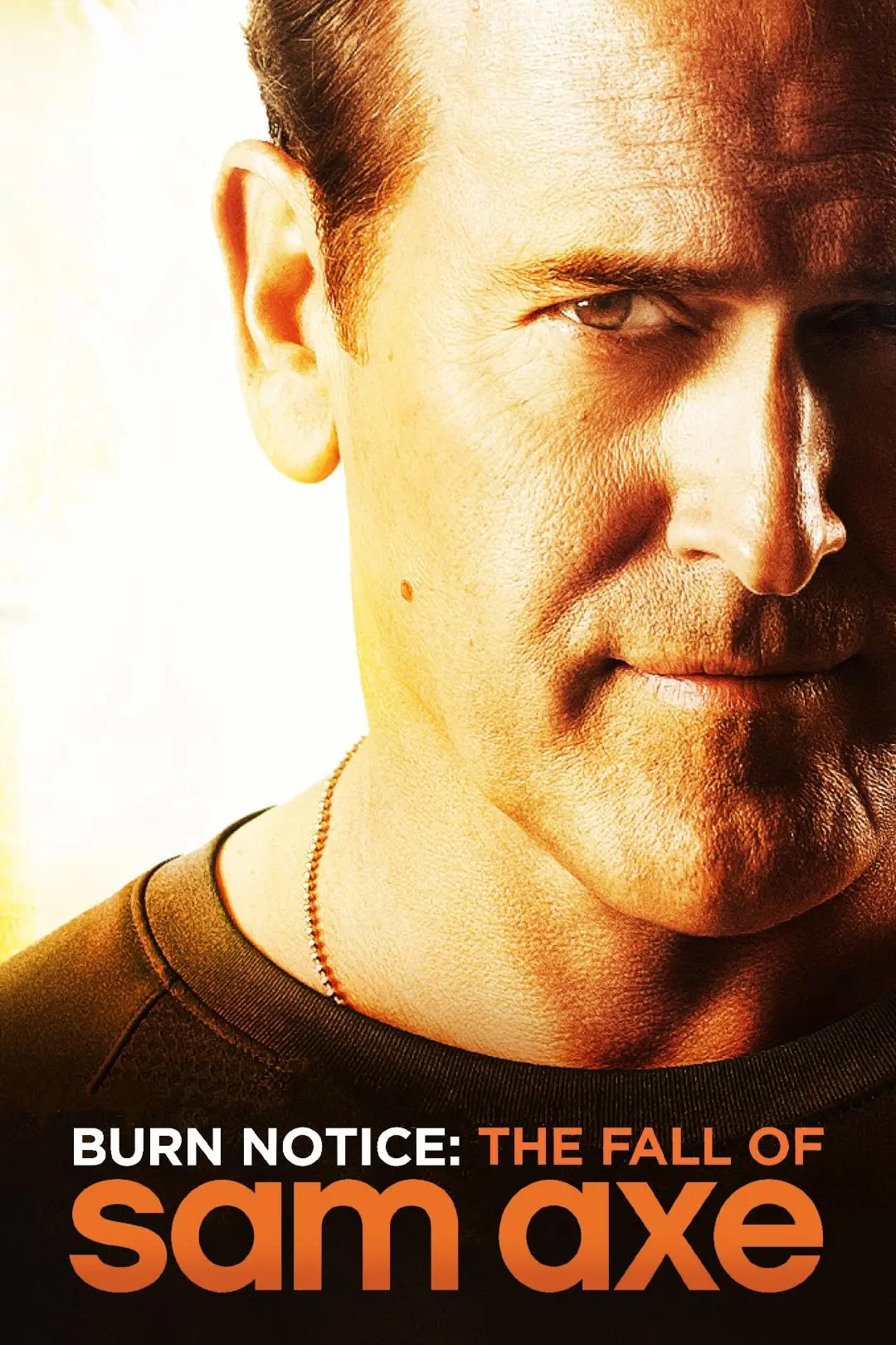 Burn Notice: The Fall of Sam Axe_peliplat