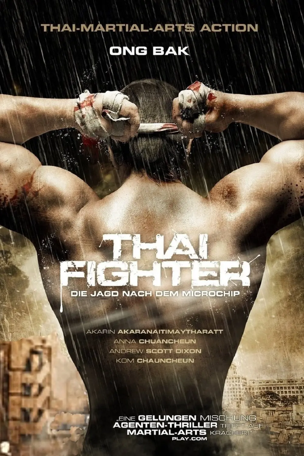 Thai Fighter_peliplat