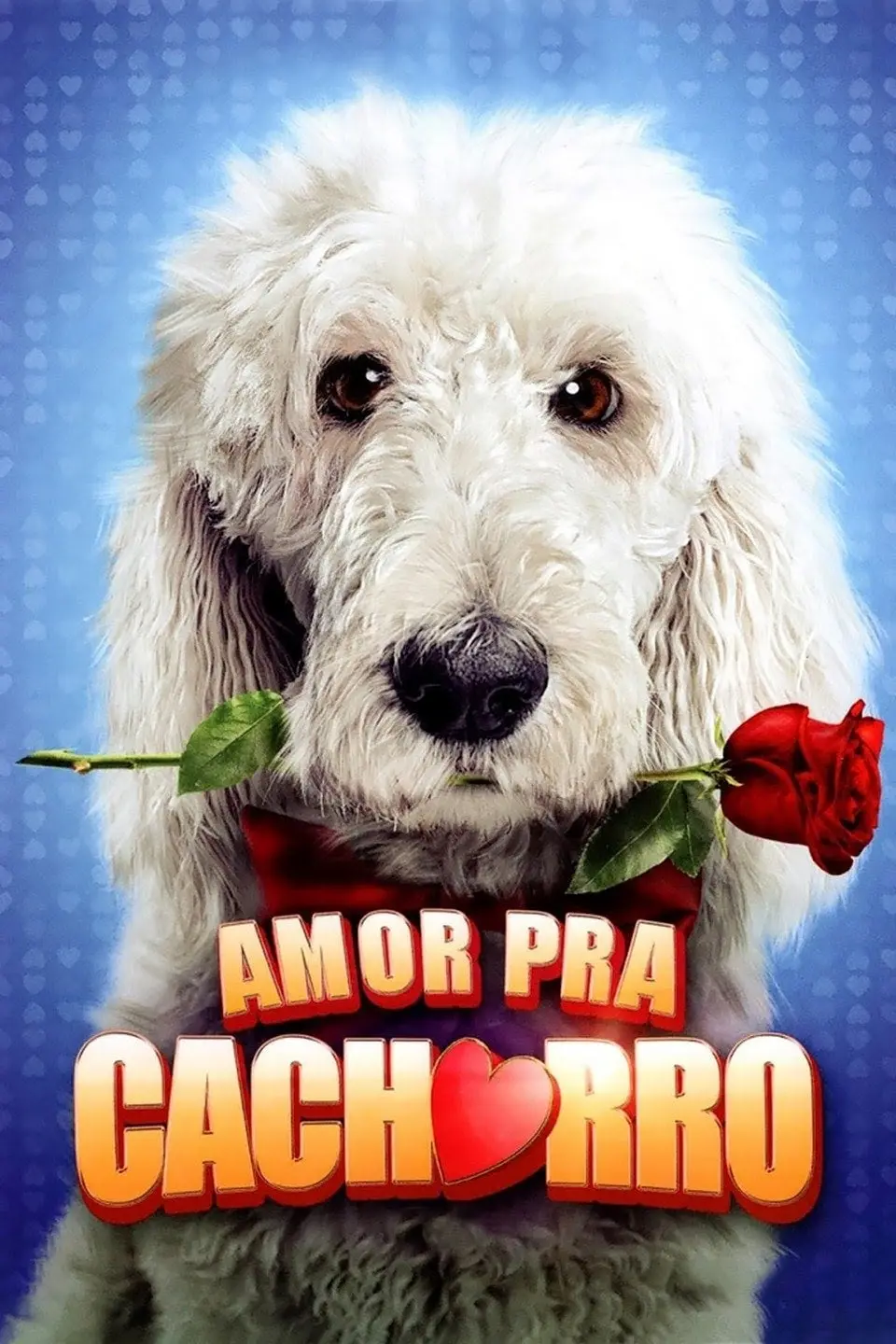 Amor Pra Cachorro_peliplat