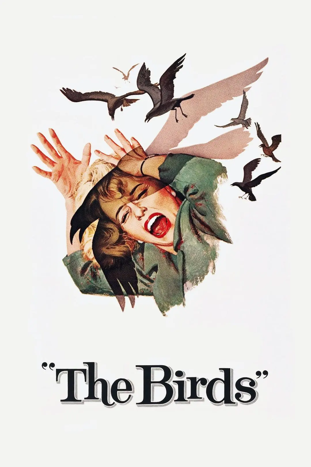 The Birds_peliplat