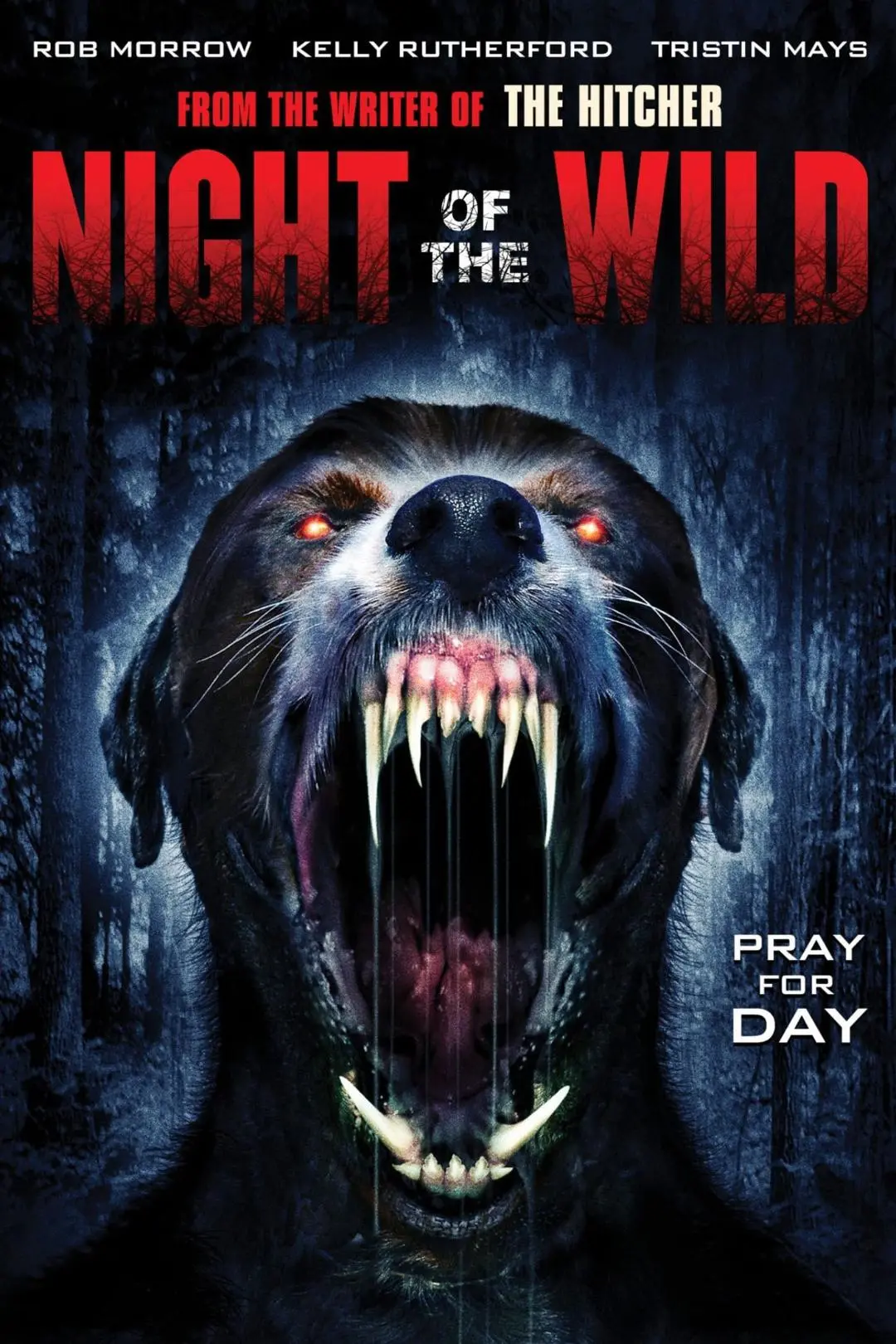 Night of the Wild_peliplat