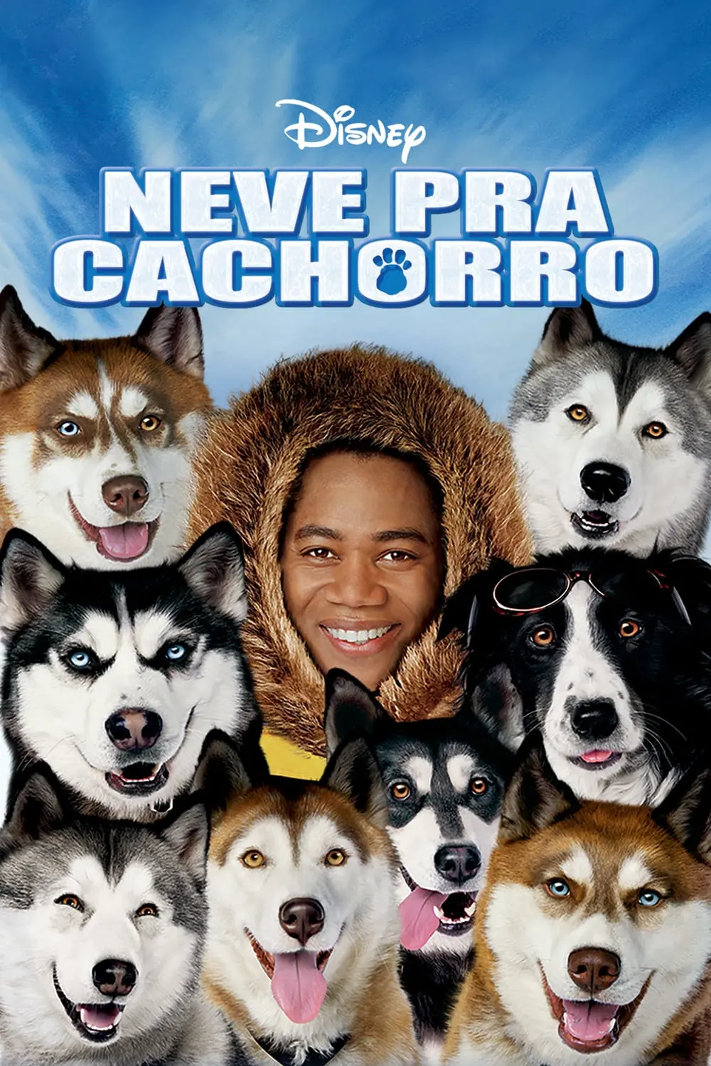 Neve pra Cachorro_peliplat