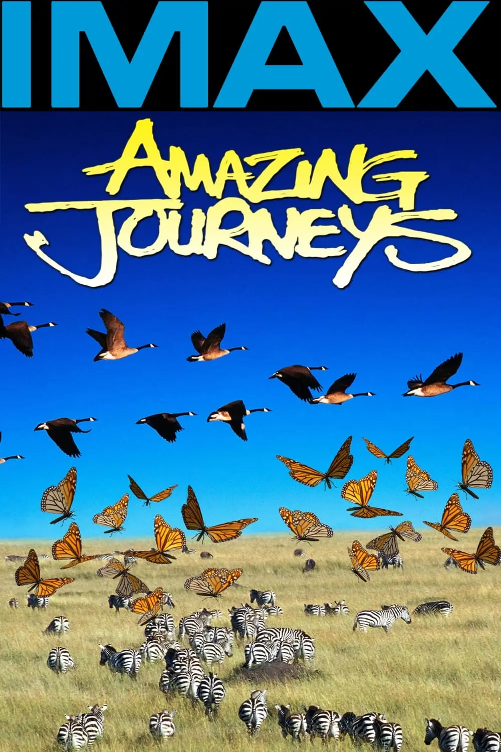 Amazing Journeys_peliplat