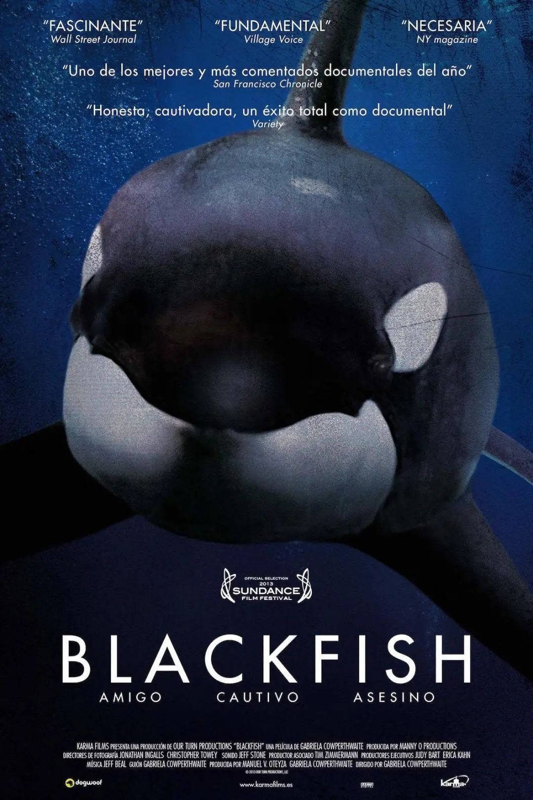 Blackfish_peliplat