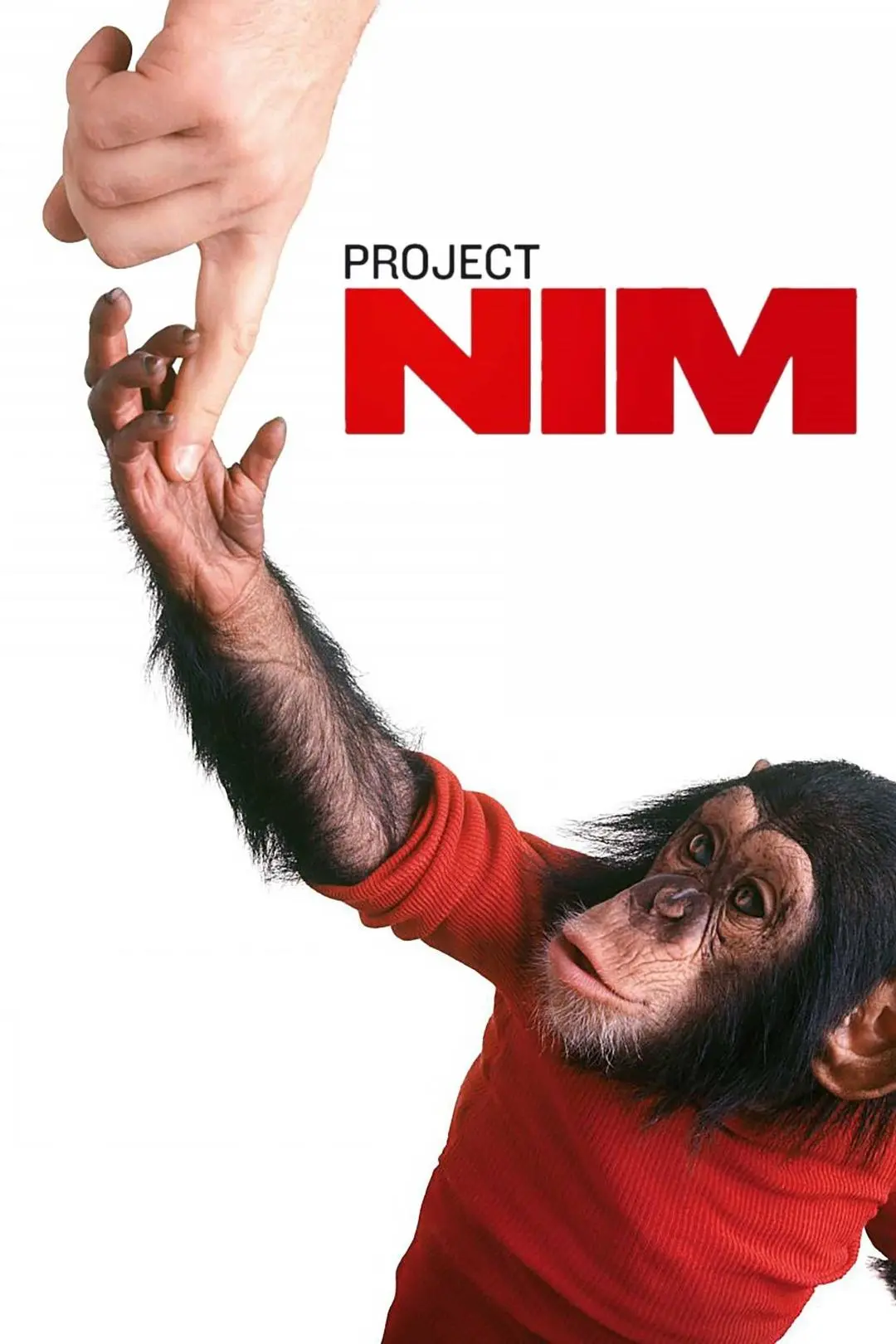 Project Nim_peliplat