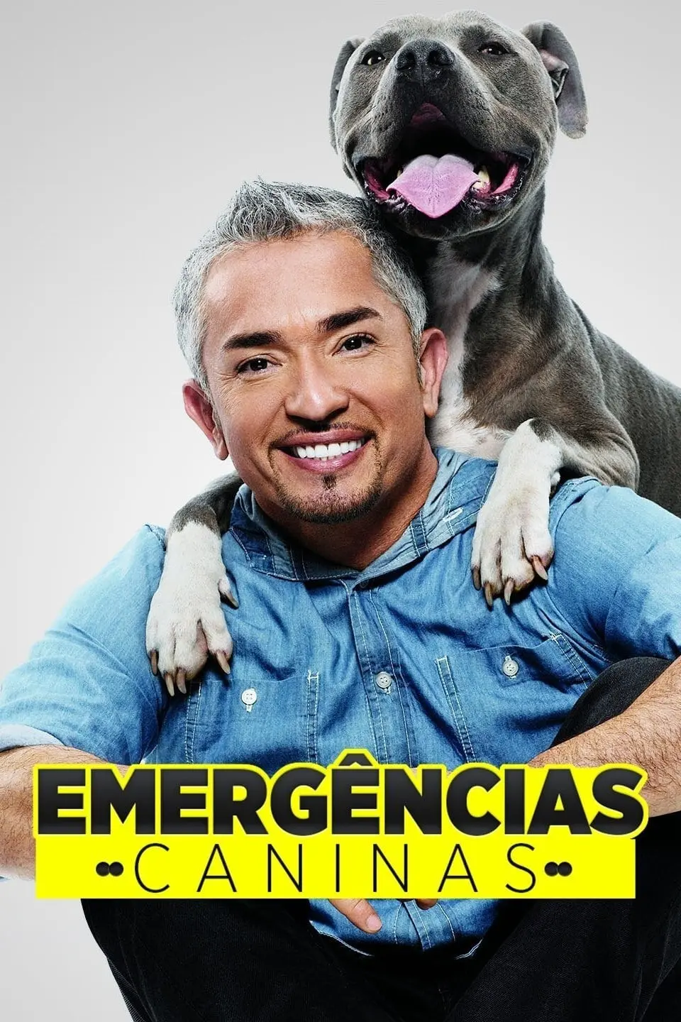Emergências Caninas_peliplat