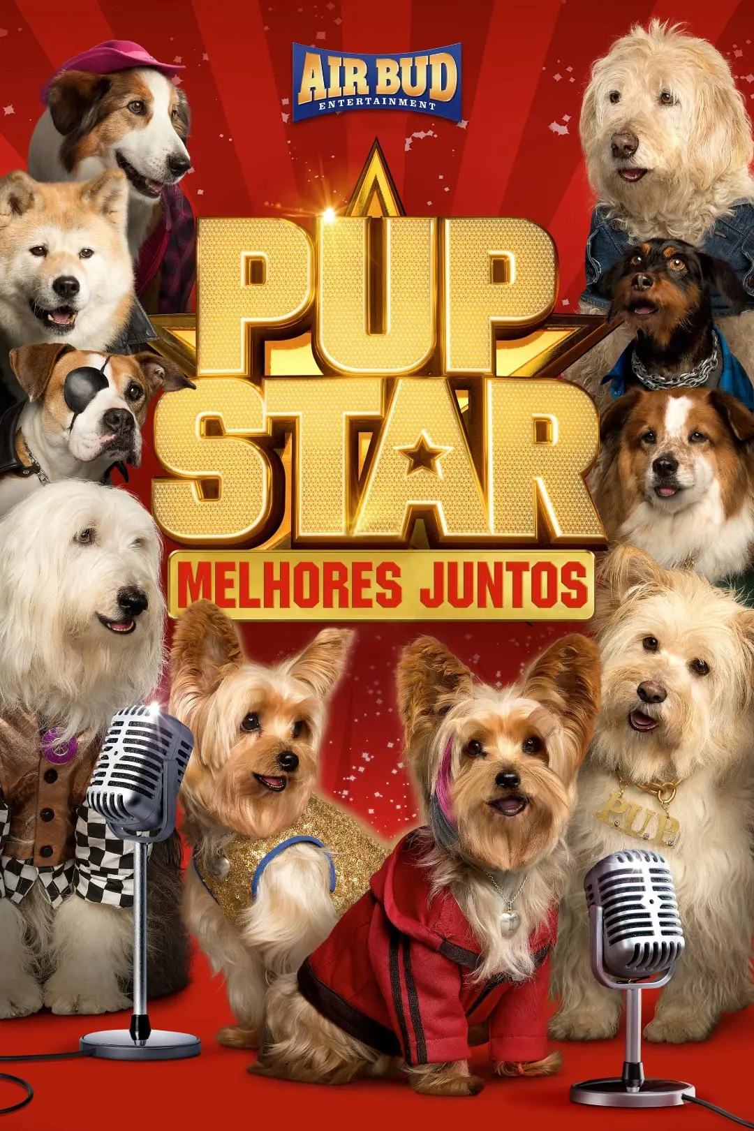 Pup Star 2: Melhores Juntos_peliplat