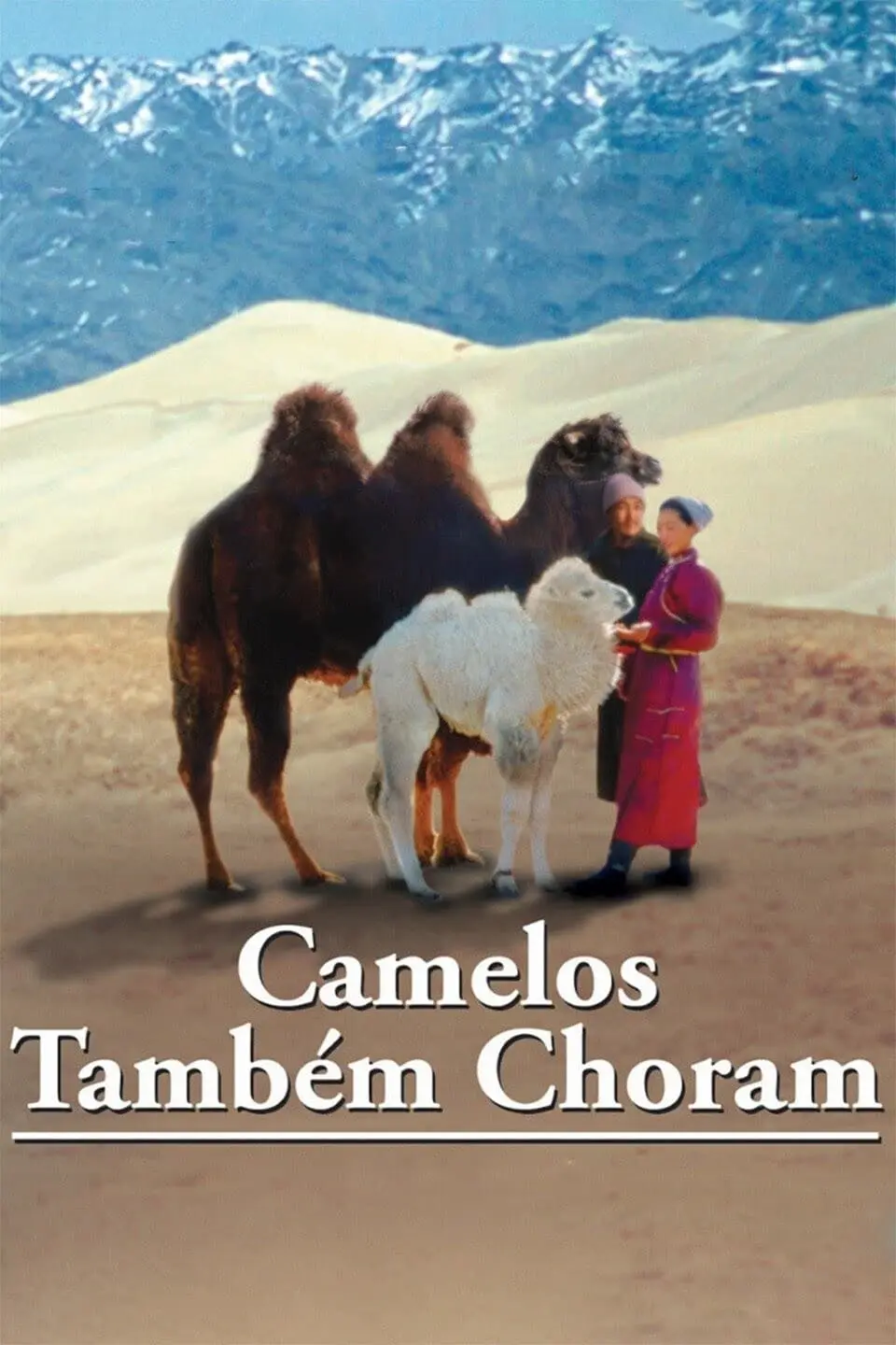 Camelos Também Choram_peliplat