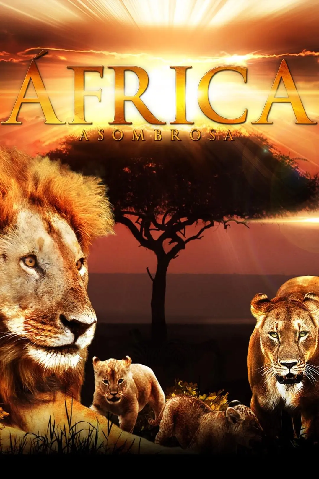 Fascination Africa 3D_peliplat