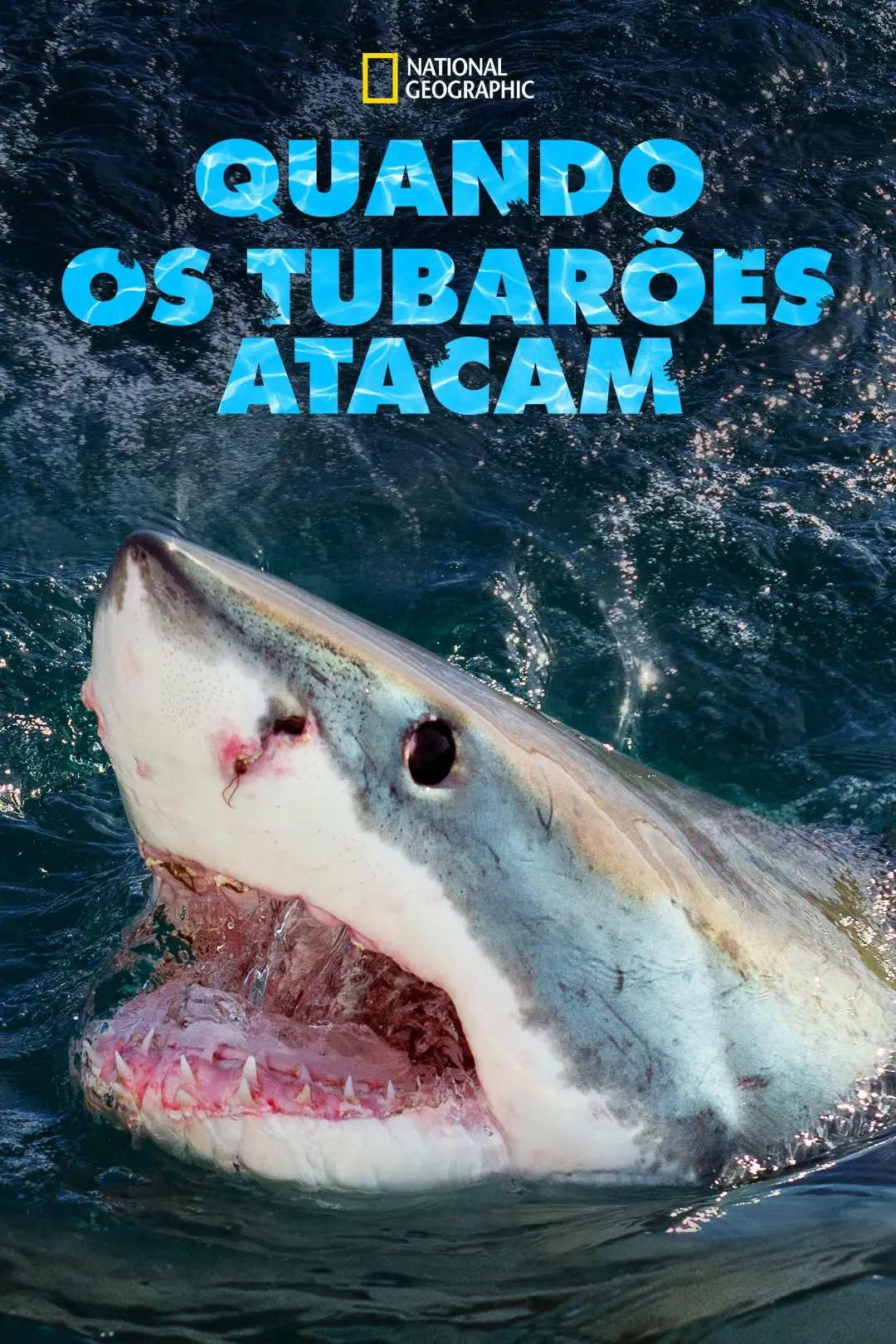 Quando os tubarões atacam_peliplat