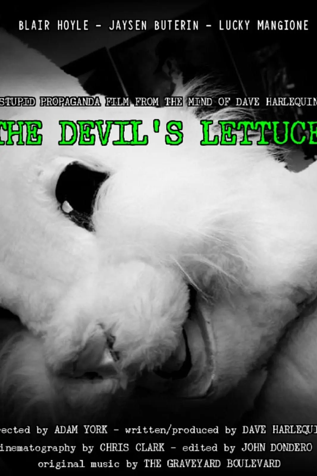 The Devil's Lettuce_peliplat