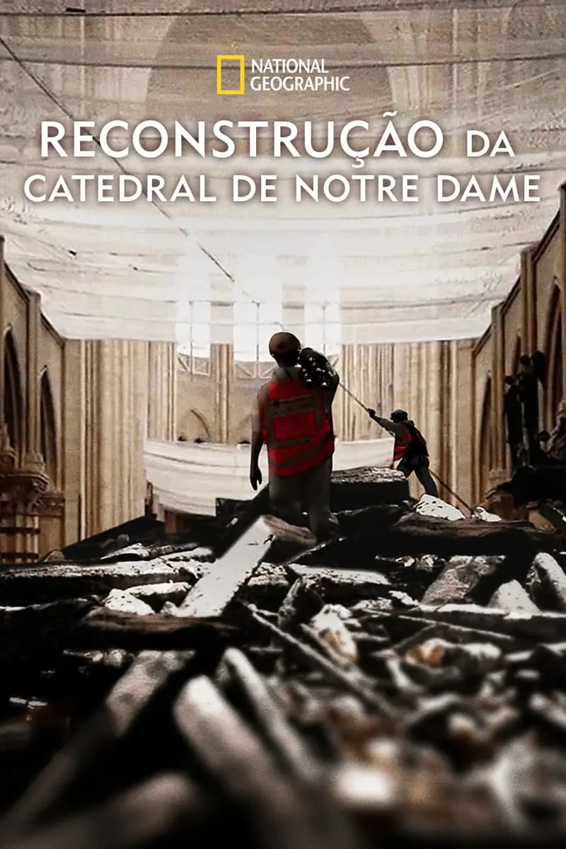 Reconstrução da Catedral de Notre Dame_peliplat