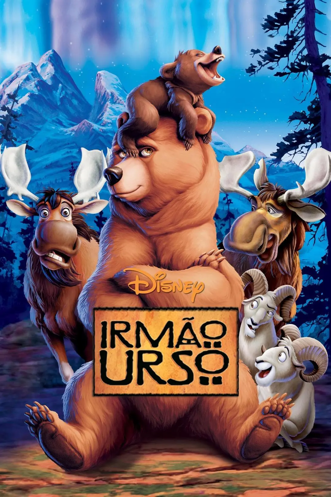 Irmão Urso_peliplat