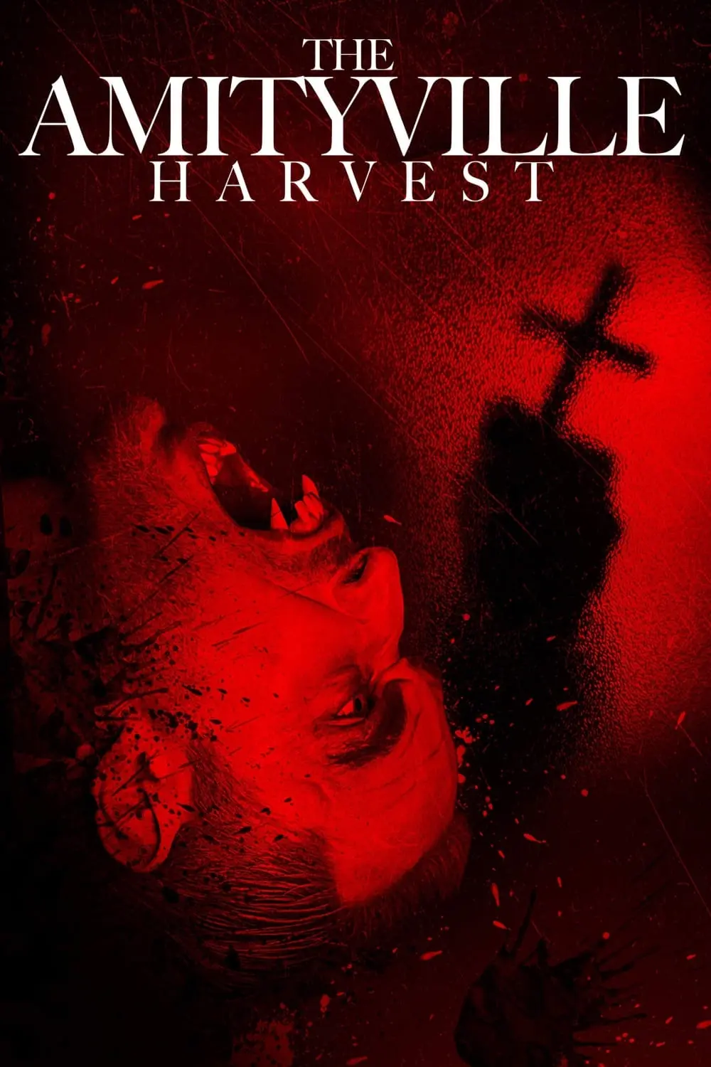 The Amityville Harvest_peliplat