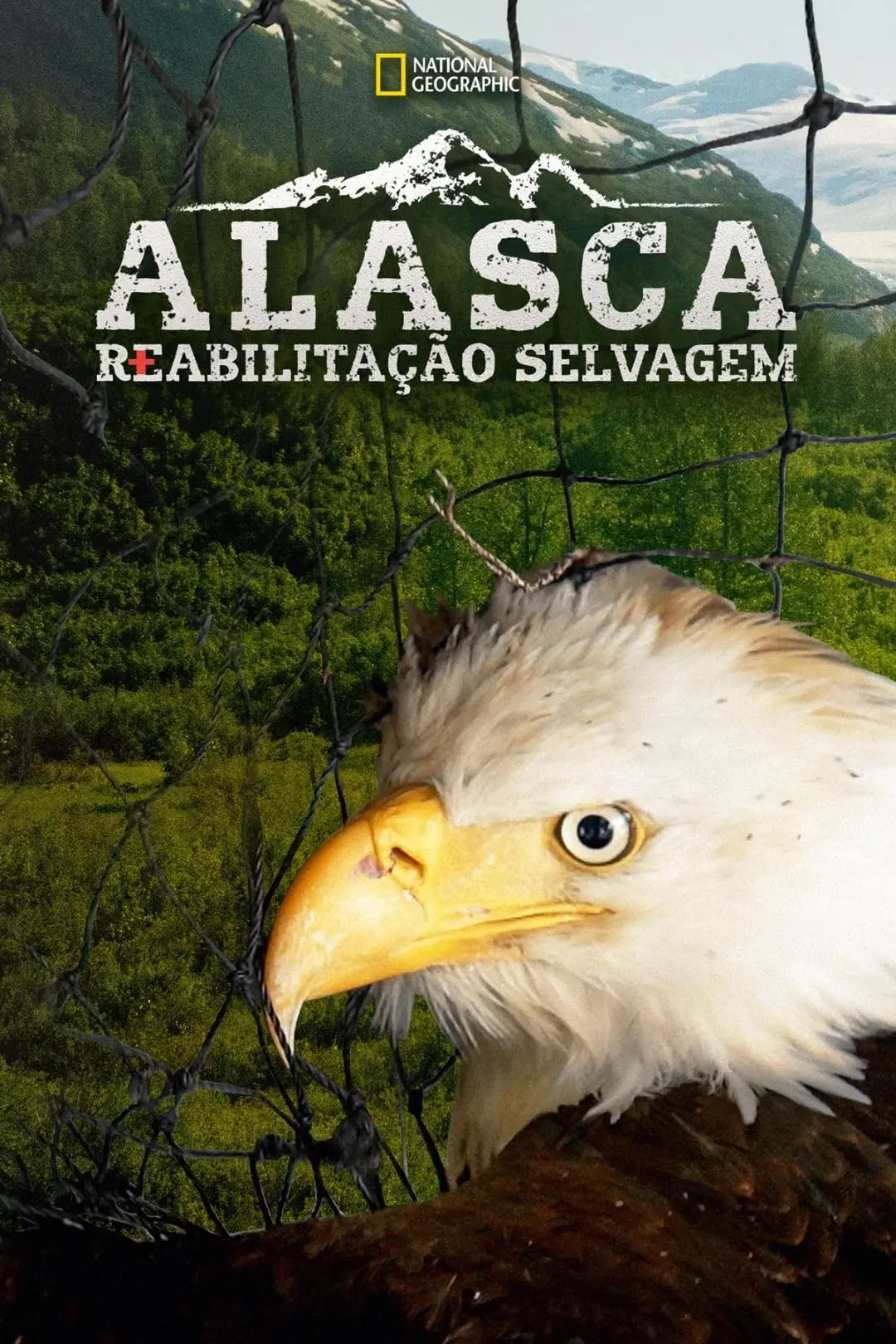 Alasca: Reabilitação Selvagem_peliplat