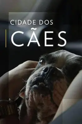 Cidade dos Cães_peliplat