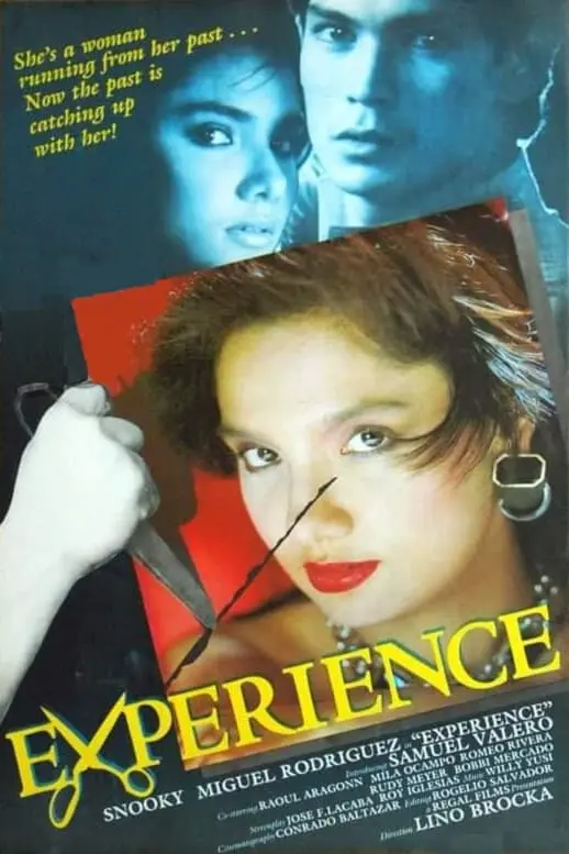 Experience_peliplat