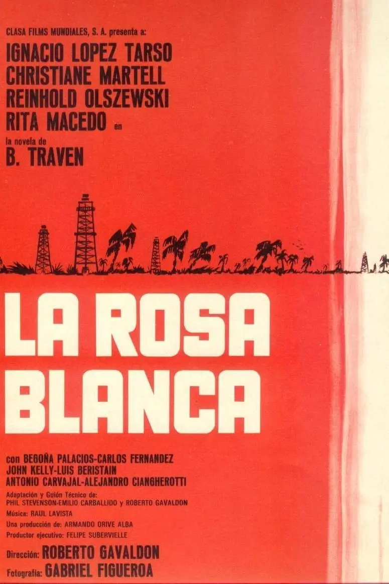 Rosa blanca_peliplat