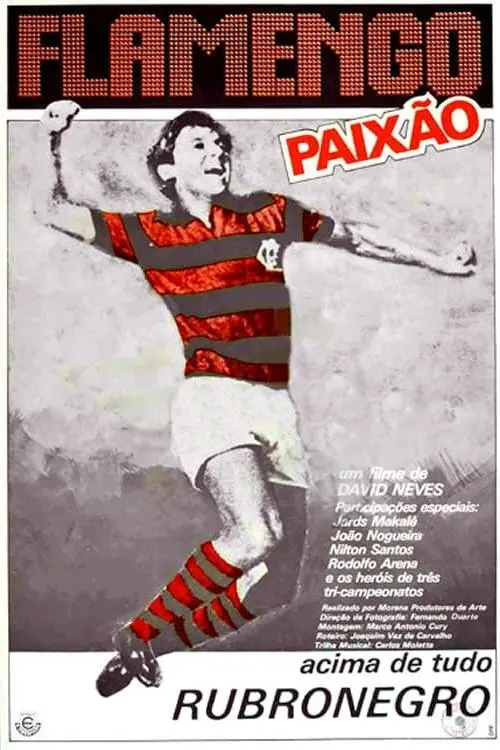 Flamengo Paixão_peliplat