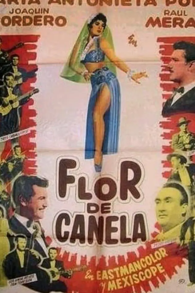 Flor de canela_peliplat