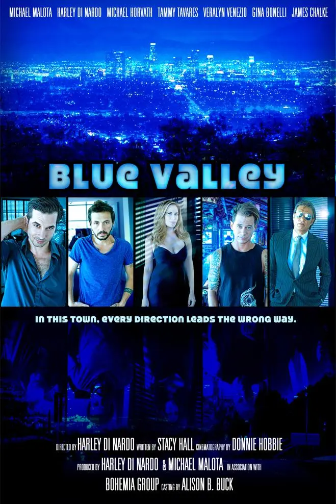 Blue Valley_peliplat