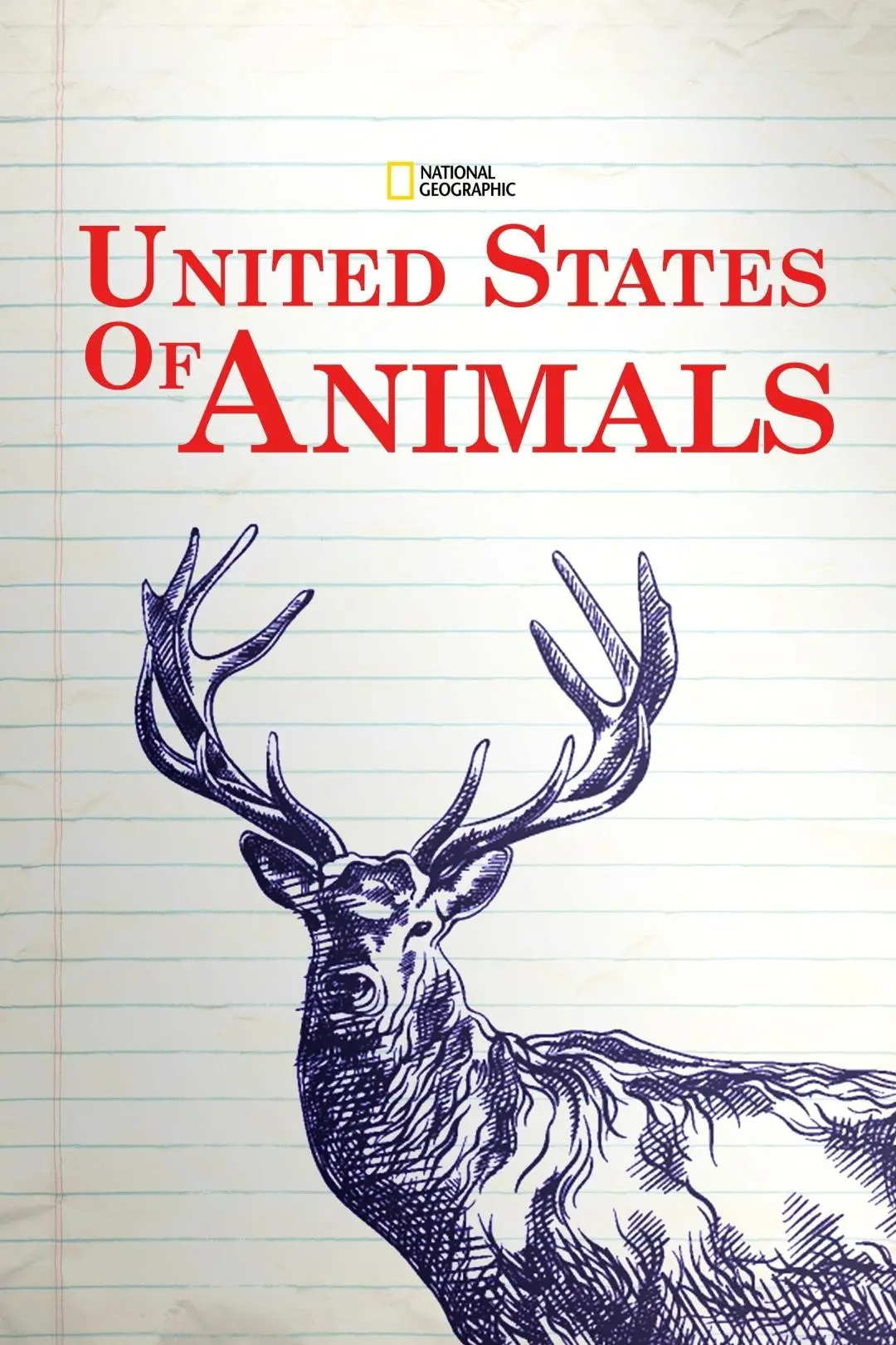 United States of Animals_peliplat